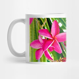 Tropical Pink Plumeria Flower Blooms Mug